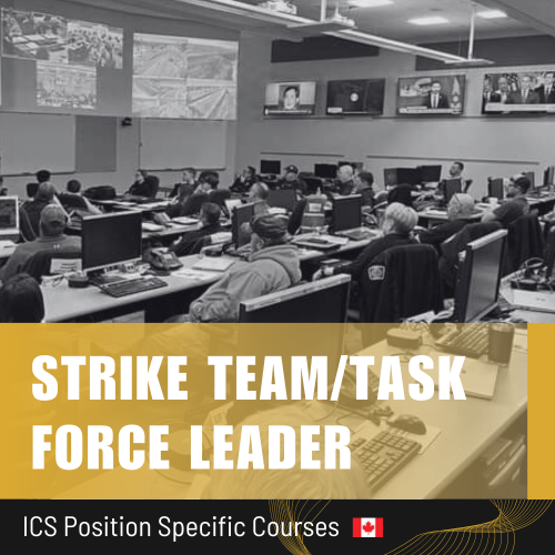 Strike Team/Task Force Leader