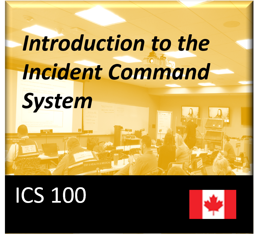 ICS 100